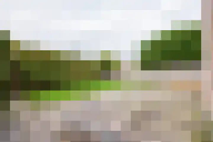 Elzenlaan 17 Dokkum thumbnail 37