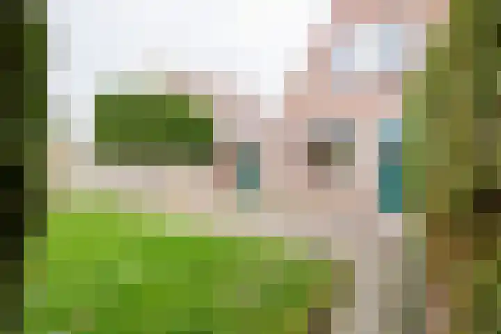 Elzenlaan 17 Dokkum thumbnail 38