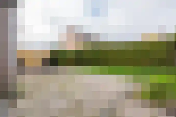 Elzenlaan 17 Dokkum thumbnail 41