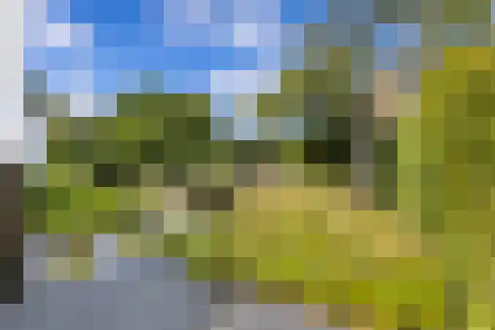 Elzenlaan 17 Middelburg thumbnail 10