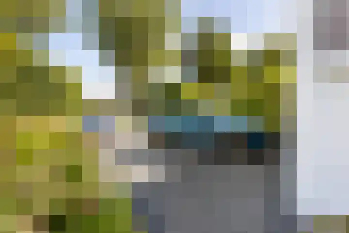 Elzenlaan 17 Middelburg thumbnail 12