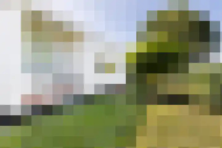 Elzenlaan 17 Middelburg thumbnail 13