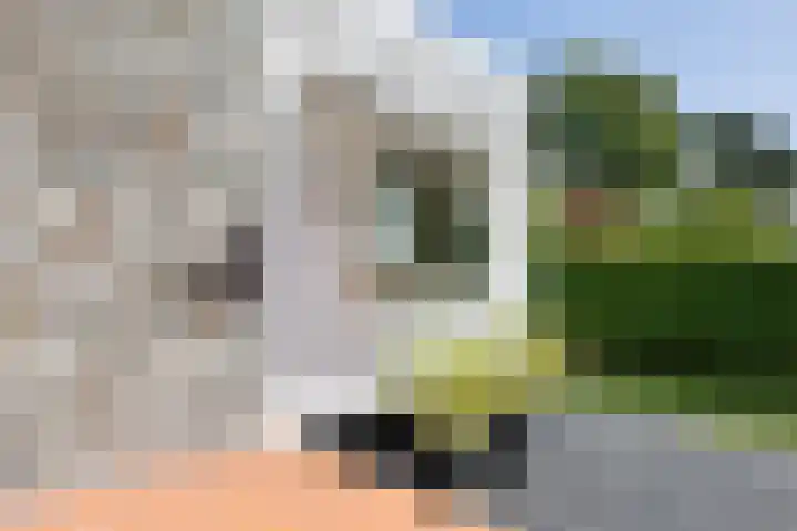 Elzenlaan 17 Middelburg thumbnail 18