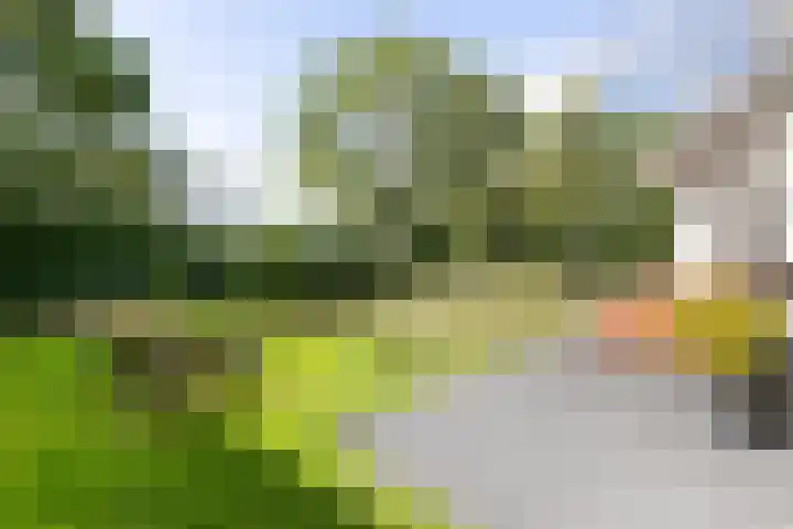 Elzenlaan 17 Middelburg thumbnail 19