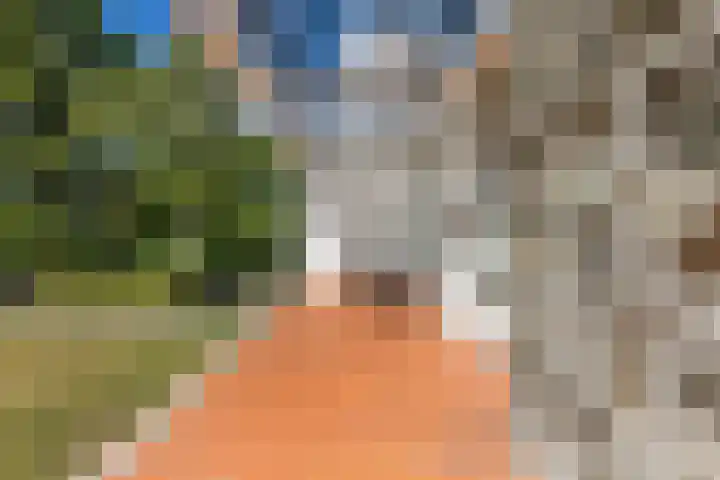 Elzenlaan 17 Middelburg thumbnail 21