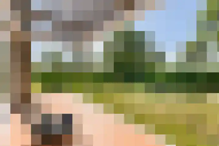 Elzenlaan 17 Middelburg thumbnail 22