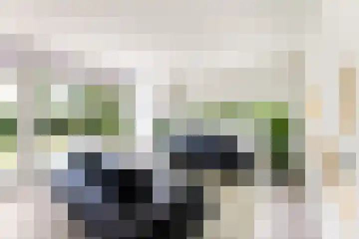 Elzenlaan 17 Middelburg thumbnail 25