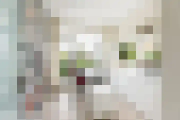 Elzenlaan 17 Middelburg thumbnail 43