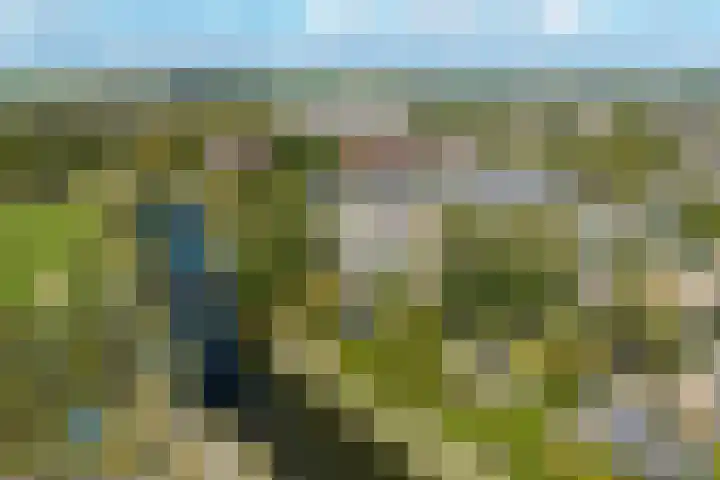 Elzenlaan 17 Middelburg thumbnail 7
