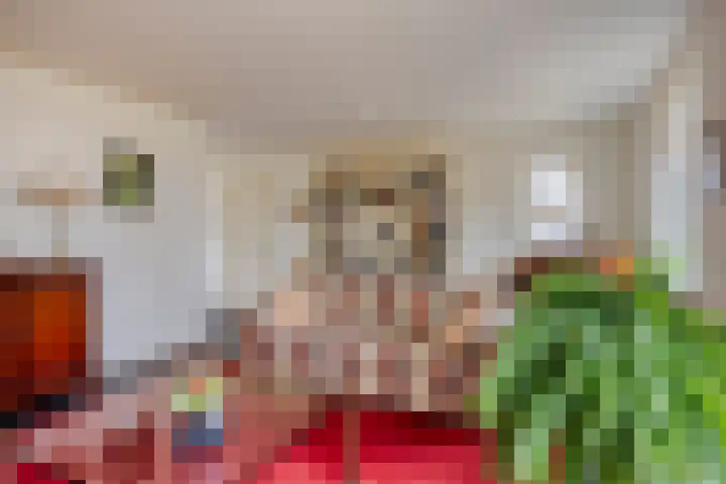 Elzenlaan 17 Smilde thumbnail 11