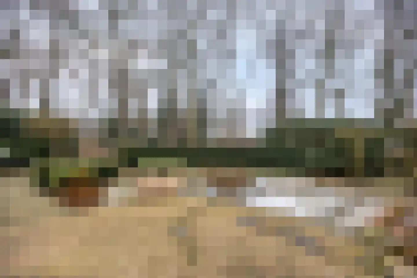 Elzenlaan 17 Smilde thumbnail 28