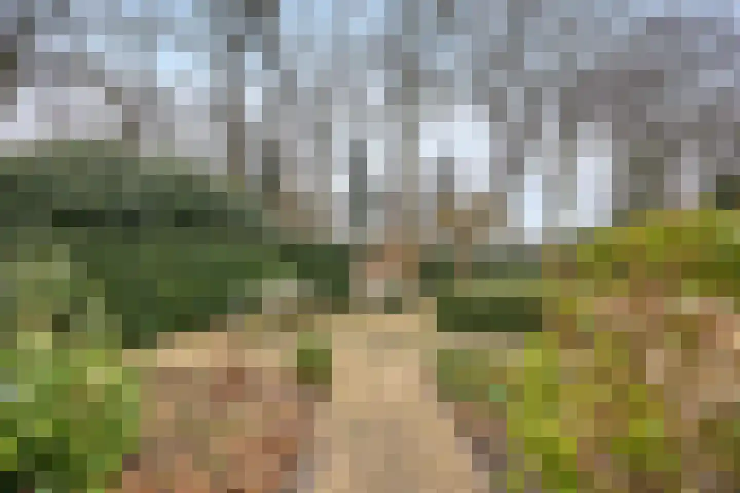 Elzenlaan 17 Smilde thumbnail 31