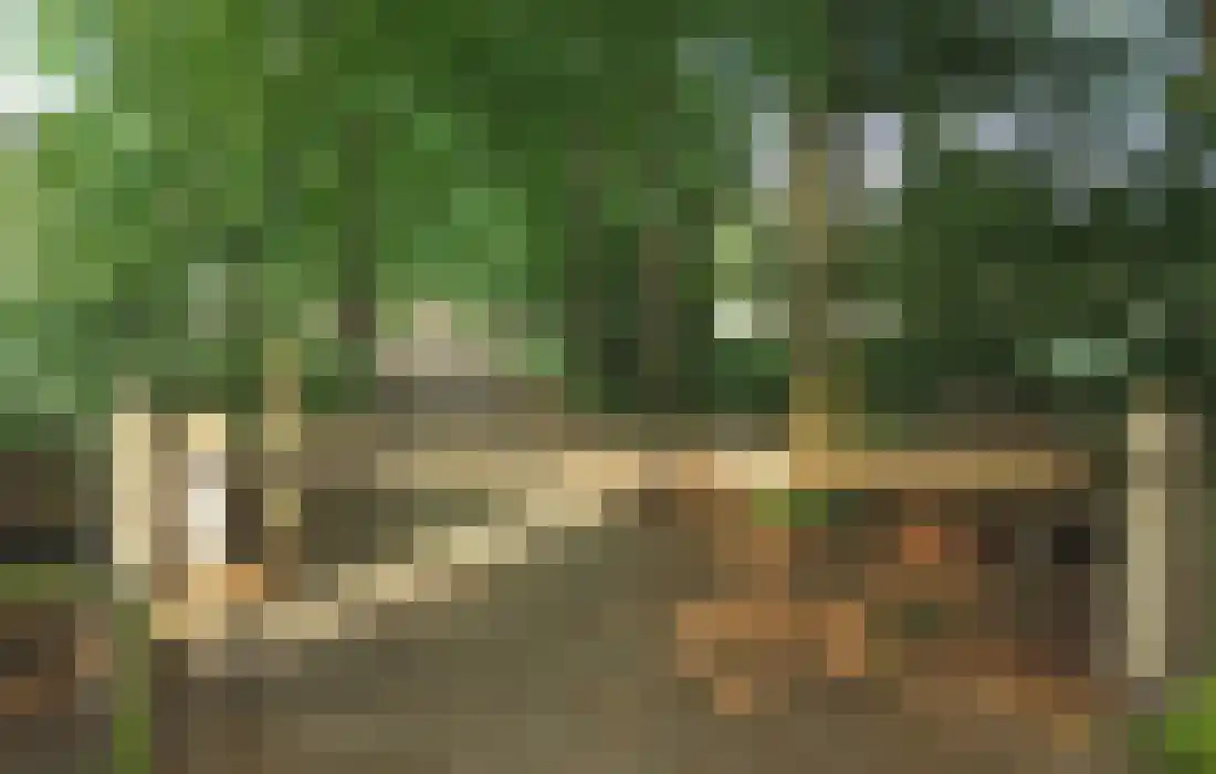 Elzenlaan 17 Smilde thumbnail 32