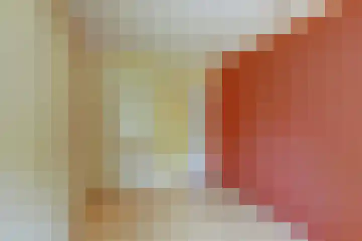 Elzenlaan 18 Emmer-Compascuum thumbnail 15