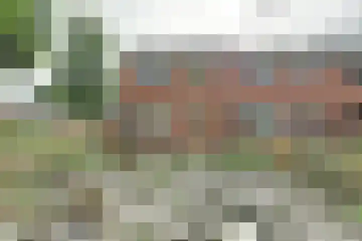 Elzenlaan 18 Emmer-Compascuum thumbnail 17