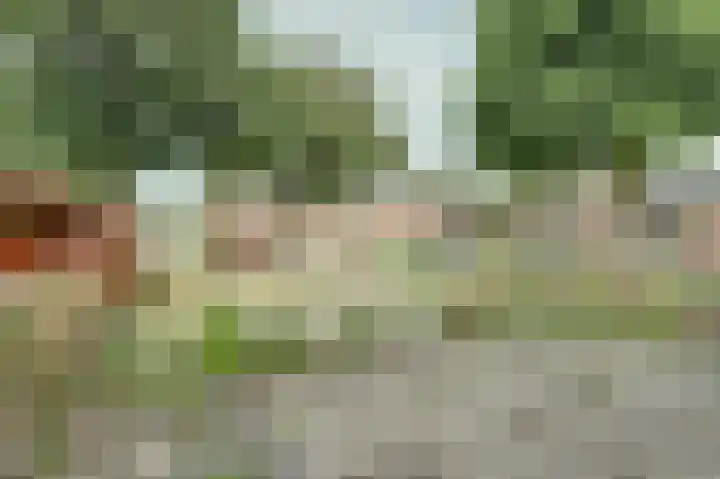 Elzenlaan 18 Emmer-Compascuum thumbnail 18