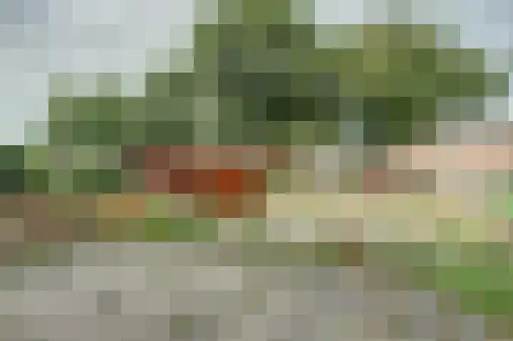 Elzenlaan 18 Emmer-Compascuum thumbnail 19