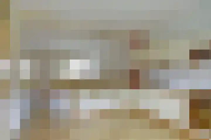 Elzenlaan 18 Emmer-Compascuum thumbnail 4