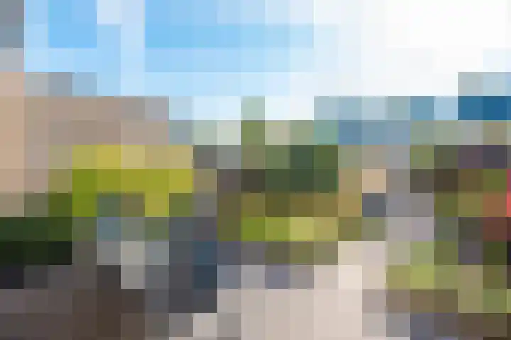 Elzenlaan 18 Heerhugowaard thumbnail 32
