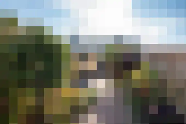 Elzenlaan 18 Heerhugowaard thumbnail 34