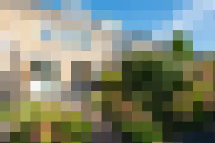 Elzenlaan 18 Heerhugowaard thumbnail 39