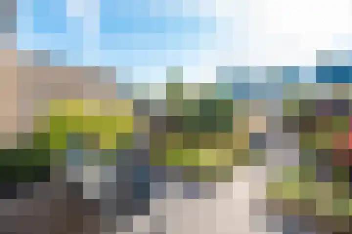 Elzenlaan 18 Heerhugowaard thumbnail 6