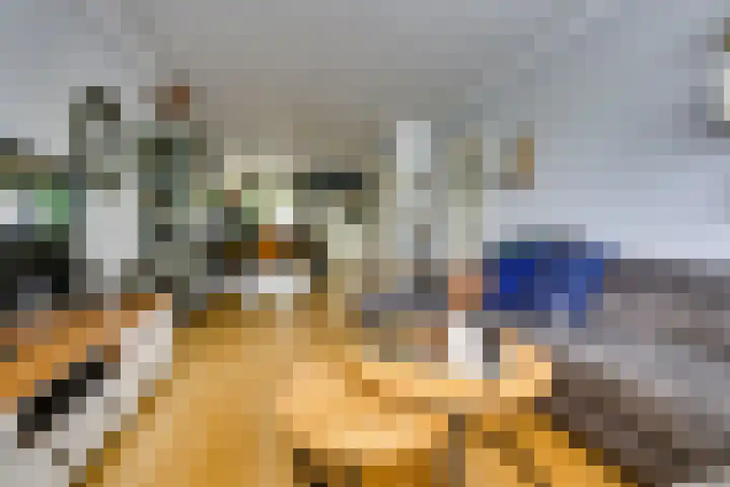 Elzenlaan 19 Rozenburg thumbnail 13