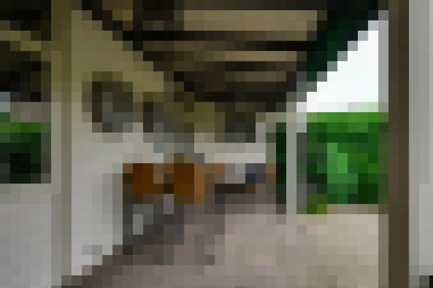 Elzenlaan 19 Rozenburg thumbnail 21