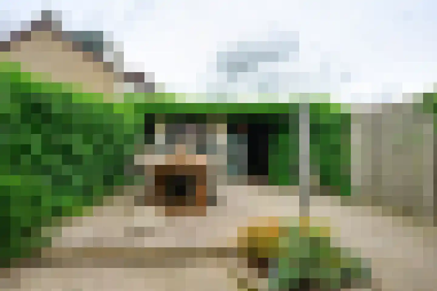 Elzenlaan 19 Rozenburg thumbnail 23