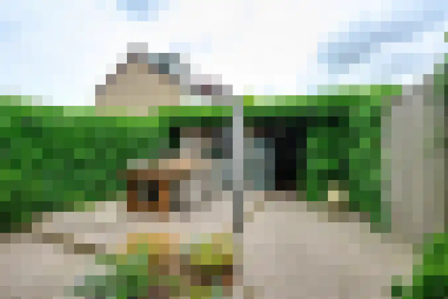 Elzenlaan 19 Rozenburg thumbnail 24