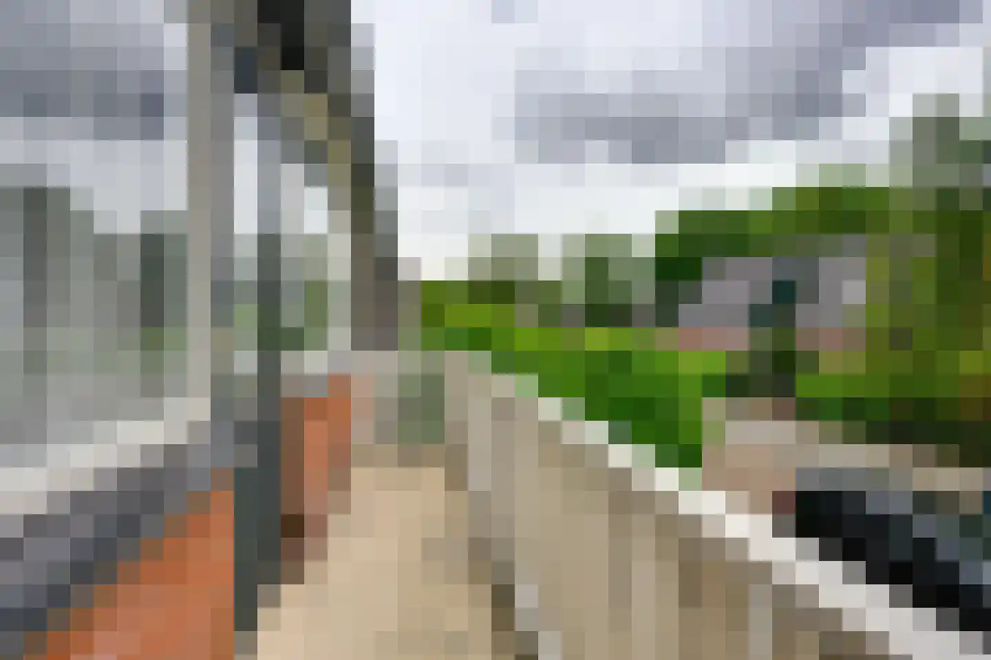 Elzenlaan 19 Rozenburg thumbnail 30