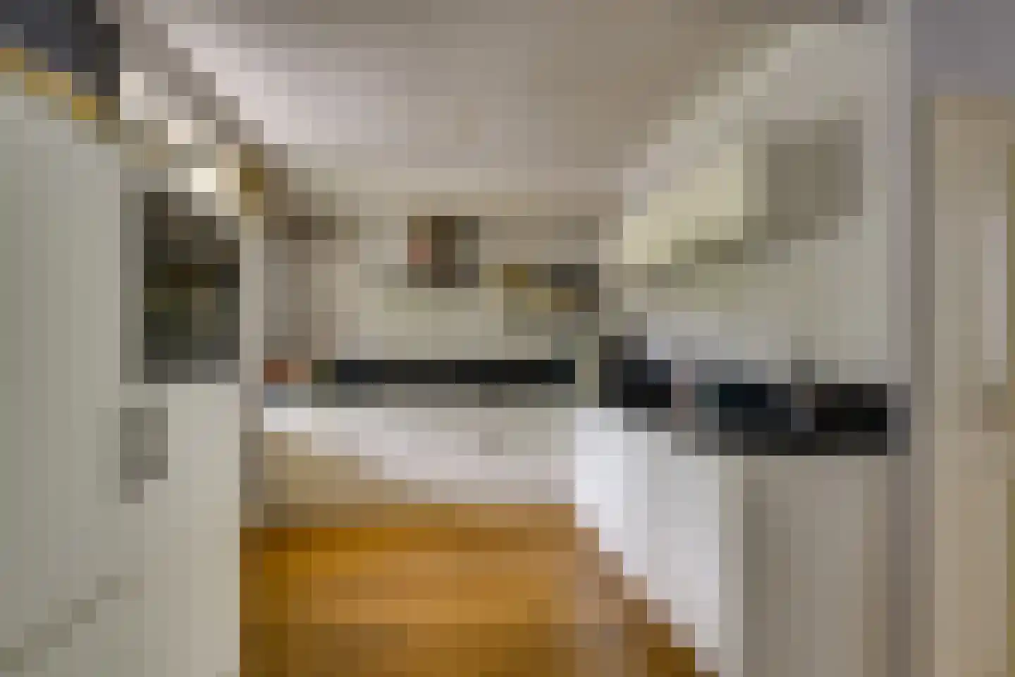Elzenlaan 19 Rozenburg thumbnail 4