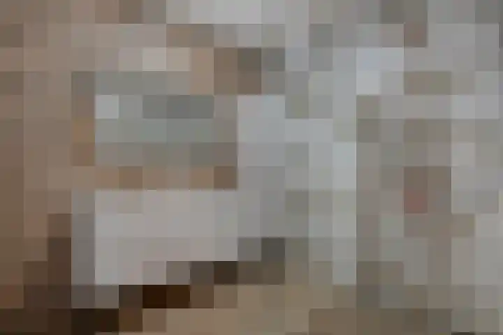Elzenlaan 2 8 Groningen thumbnail 26