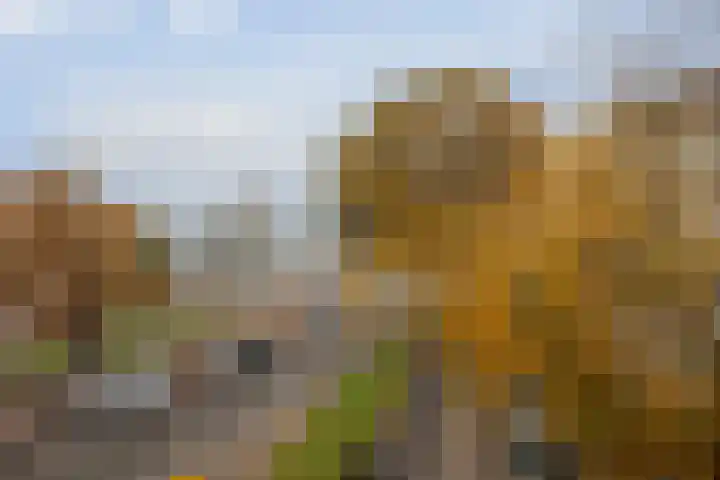 Elzenlaan 2 8 Groningen thumbnail 32