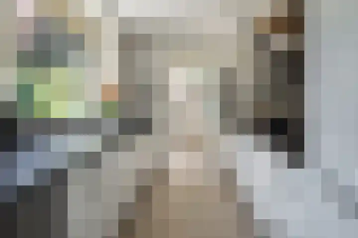 Elzenlaan 2 Wierden thumbnail 12