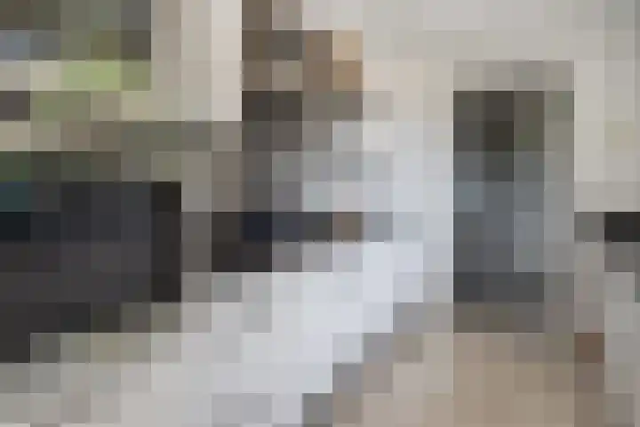 Elzenlaan 2 Wierden thumbnail 14