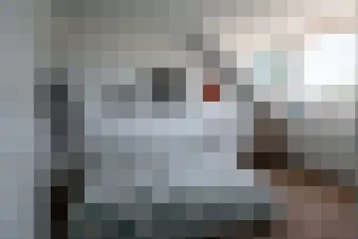 Elzenlaan 2 Wierden thumbnail 23
