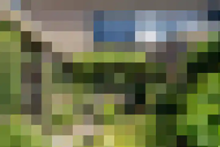 Elzenlaan 2 Wierden thumbnail 25