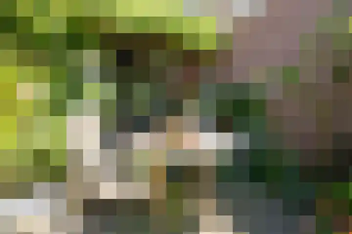 Elzenlaan 2 Wierden thumbnail 26