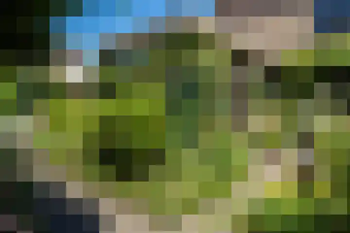Elzenlaan 2 Wierden thumbnail 27