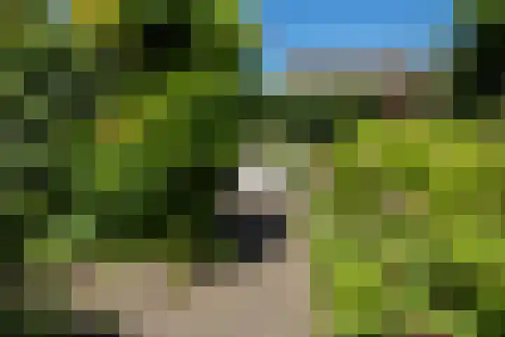 Elzenlaan 2 Wierden thumbnail 28