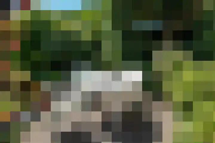Elzenlaan 2 Wierden thumbnail 29