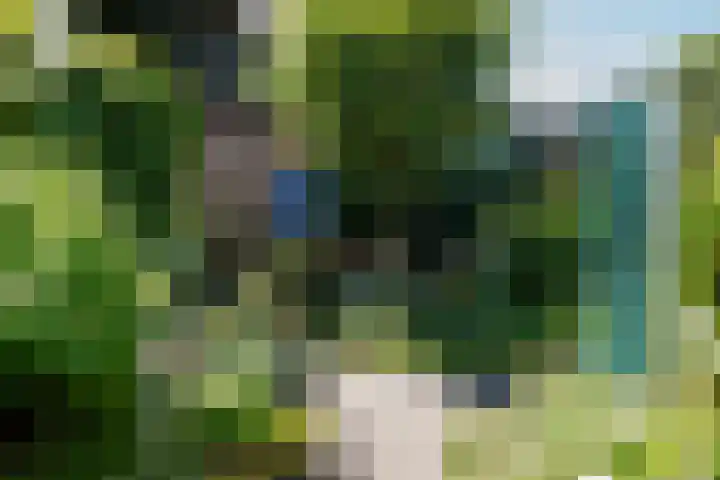 Elzenlaan 2 Wierden thumbnail 30