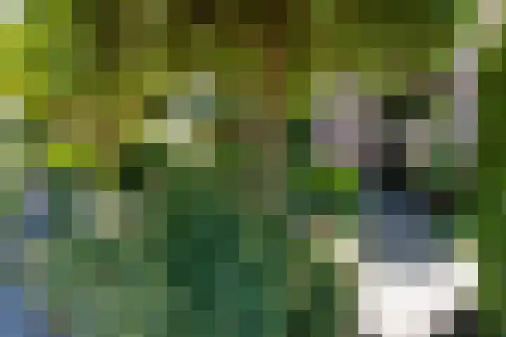 Elzenlaan 2 Wierden thumbnail 32