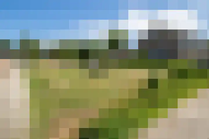 Elzenlaan 2 Wierden thumbnail 35
