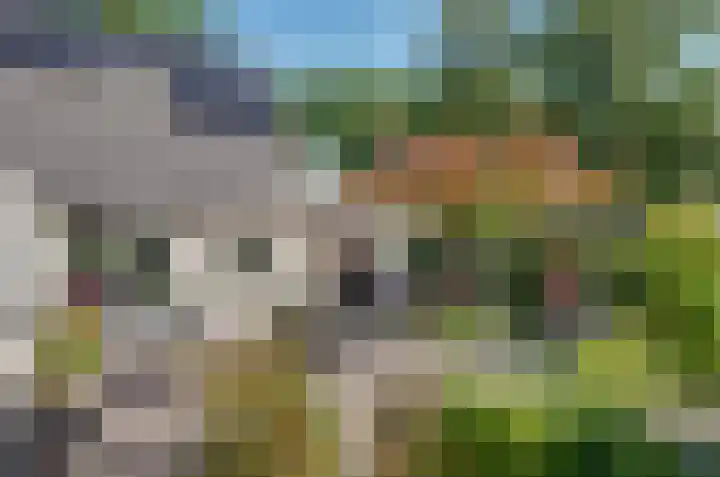 Elzenlaan 21 Smilde thumbnail 32