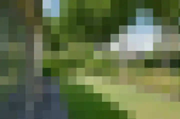 Elzenlaan 21 Smilde thumbnail 38