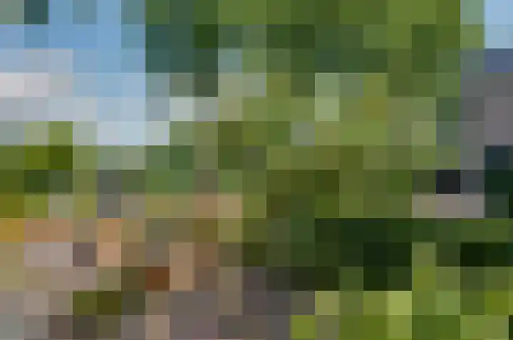 Elzenlaan 21 Smilde thumbnail 39