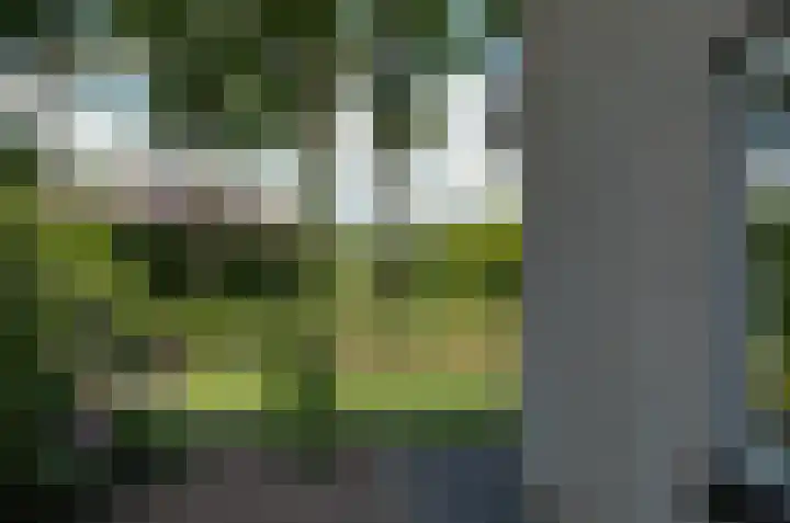 Elzenlaan 21 Smilde thumbnail 41