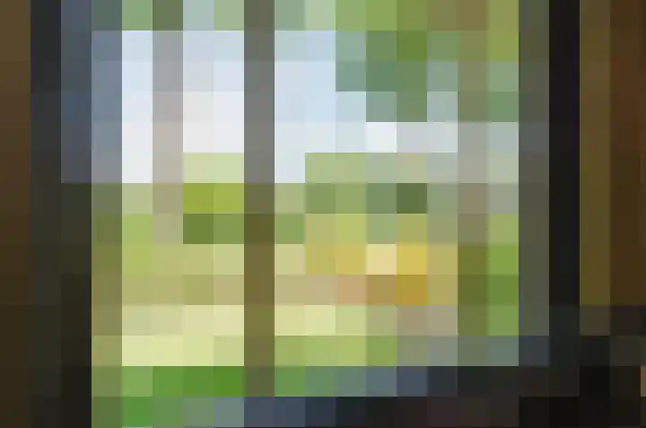 Elzenlaan 21 Smilde thumbnail 7